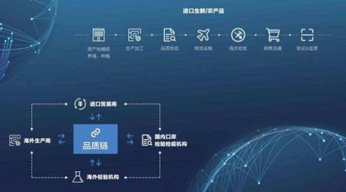 區(qū)塊鏈防偽溯源系統(tǒng)軟件設(shè)計開發(fā)解決方案