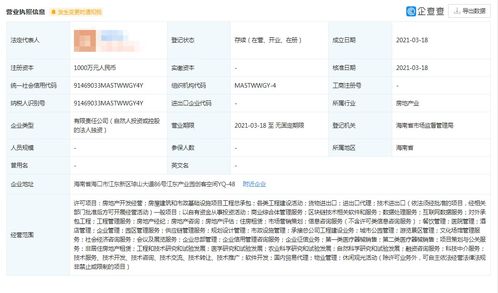 中創(chuàng)國(guó)遠(yuǎn)控股公司 區(qū)塊鏈技術(shù)軟件與服務(wù)轉(zhuǎn)讓公告